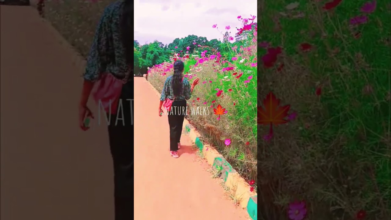 short  reels video, hindi song sawariya, status video, short vlogs lx Marndi vlogs 🙏