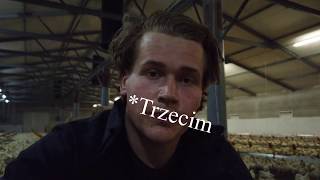 Pierwsze Dni I Tygodnie Z Życia Kurcząt The First Phase Of Poultry Production.