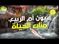 ✅ Amouddou TV 162  أمودّو / عيون أم الربيع، منابع الحياة