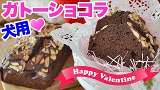 犬用バレンタイン ガトーショコラ 人間も一緒に食べられる犬用おやつ 手作り犬ご飯 レシピブログ グーわん 犬用バレンタイン ガトーショコラ 人間も一緒に食べられる犬用おやつ 手作り犬ご飯 レシピブログ グーわん