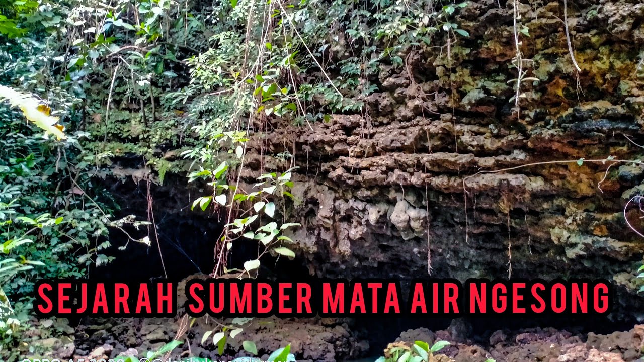 MENGUNGKAP SEJARAH SUMBER MATA AIR NGESONG
