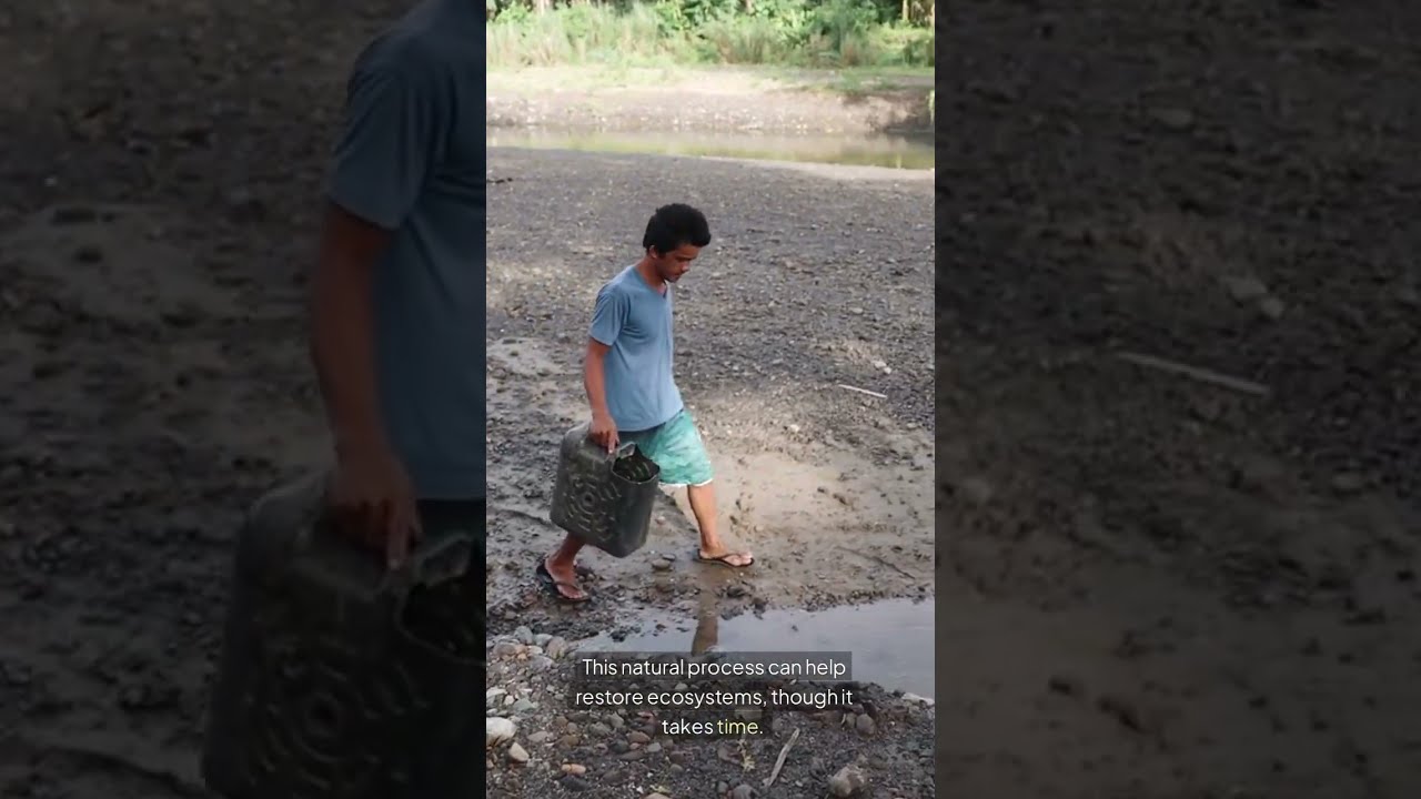 How Bacteria Digest Oil Spills 