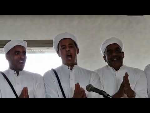 عرس بوزك كان في مدينة برشيد مع صرخت الركبة زكورة0664132740