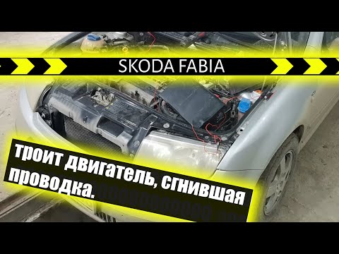 Шкода Фабиа. Троит двигатель. Сгнившая проводка.