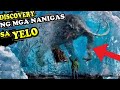 5 Nakamamanghang DISCOVERY Mga NANIGAS Sa YELO (HAYOP , TAO, at BACTERIA), Lalaki Nanigas Sa Yelo