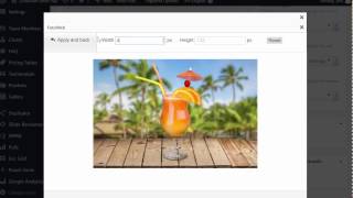 Overview of the Wordpress Featured Image Plugin