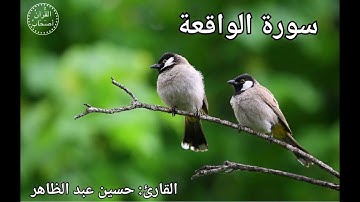 سورة الواقعة كاملة مكررة - للقارئ حسين عبد الظاهر