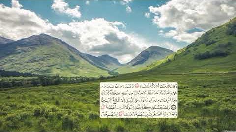 271 -page سعد الغامدي - -سورة النحل -Les abeilles (An-Nahl) 16