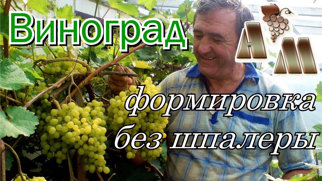 Уход за растениями