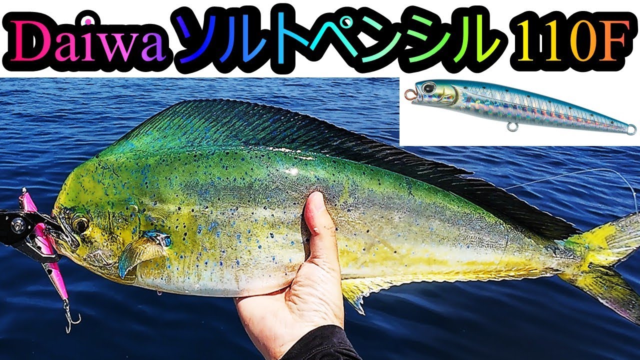 島を釣る Shore Jigging] Conquering the offshore breakwater with a