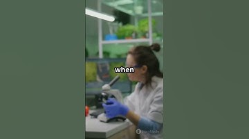 Xenobots: The Self-Healing Living Robots!