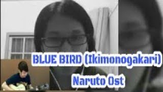 Blue Bird (Ikimonogakari/ Ost Naruto) cover by Nathan Fingerstyle ft Rhin