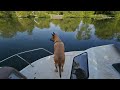 Back at the Van to check on the Boat PT2