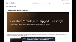 Shopware 6 content with live prices, stock and shared includes: Carve plugin walkthrough