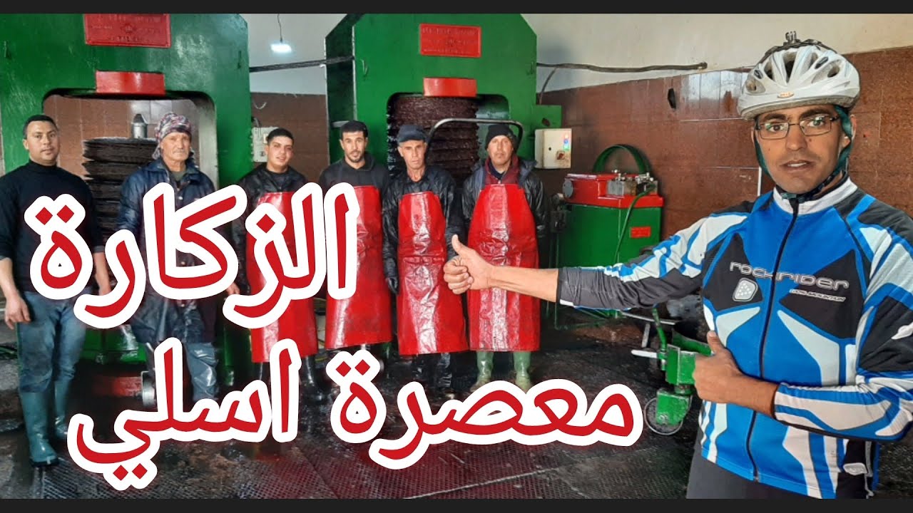 معصرة زيت الزيتون العصرية الطريقة من الألف إلى الياء 