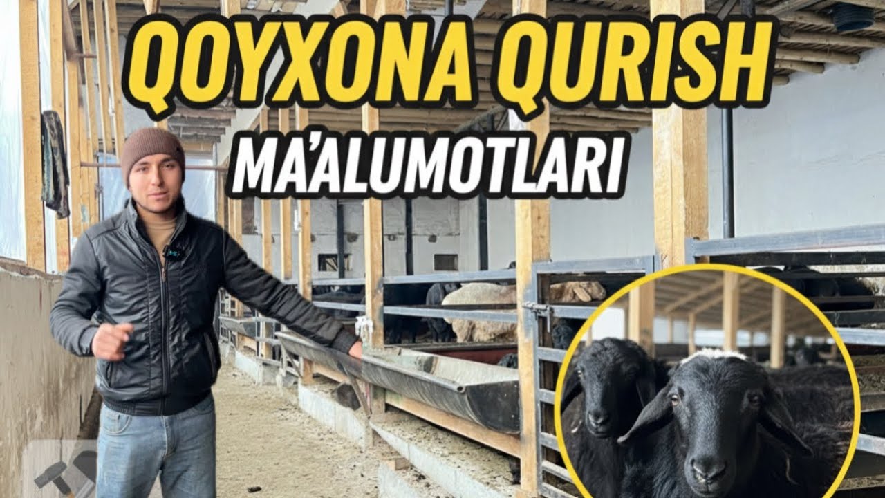 Zamonaviy qo‘yxona qanday bo‘lishi kerak? Ko‘pchilik bilmaydi”