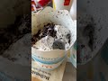 McFlurry with Oreo Cookies at McDonald’s