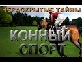 Конный спорт. подробности. #Нераскрытые Тайны#