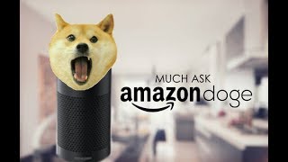 Introducing Amazon Doge
