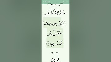 111 سورة المسد مختصر مفهوم