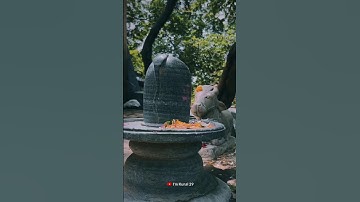 Mahadev status video 💫 bholenath status ☘️ mahakal status#mahadev #shorts