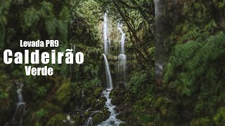 Jedna z najpiękniejszych lewad na Maderze -  Caldeirão Verde 🌿💦⛰