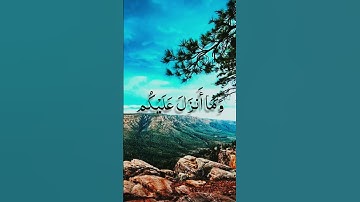 #قرآن سورة البقرة بصوت القارئ علي جابر رحمه الله الاية 231