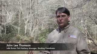 Georgia's 2014 Trout Forecast and Fishing Tips