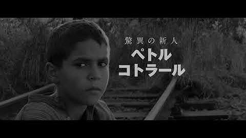 映画『異端の鳥』日本版予告／10月9日(金)TOHOシネマズシャンテほか全国公開