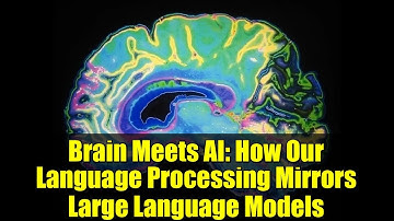 Brain Meets AI: How Our Language Processing Mirrors Large Language Models