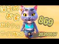 深夜のお家猫カフェライブ配信 ８６９