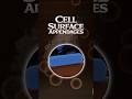Cell Surface Appendages #microbiology #medicaleducation