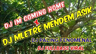 DJ MLETRE MENDEM || DJ IM COMING HOME VIRAL TIK TOK FULL BASS