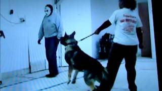 PPDA Personal Protection Title 1