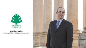 Digging In: An Arboreal Amble