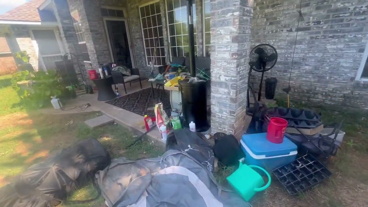 Mission Chick-Possible: Man vs. Baby Chicken (Epic Fail!) 😂🐔