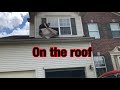 Youtube Thumbnail title