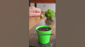 Bạn cần bao nhiêu tiền để tự do tài chính bằng cách đầu tư Crypto?