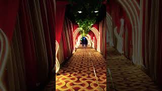 Strip Light Viral Video