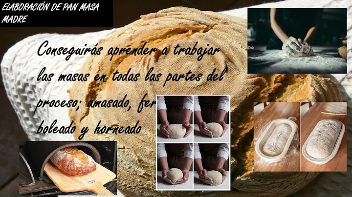 Presentacin Curso Pan Masa Madre