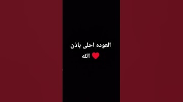 #الرحمن  #المصحف  سورة السجده ♥️♥️