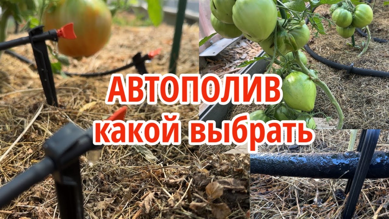 Все мои системы автополива: капельный от ёмкости и водопровода ...
