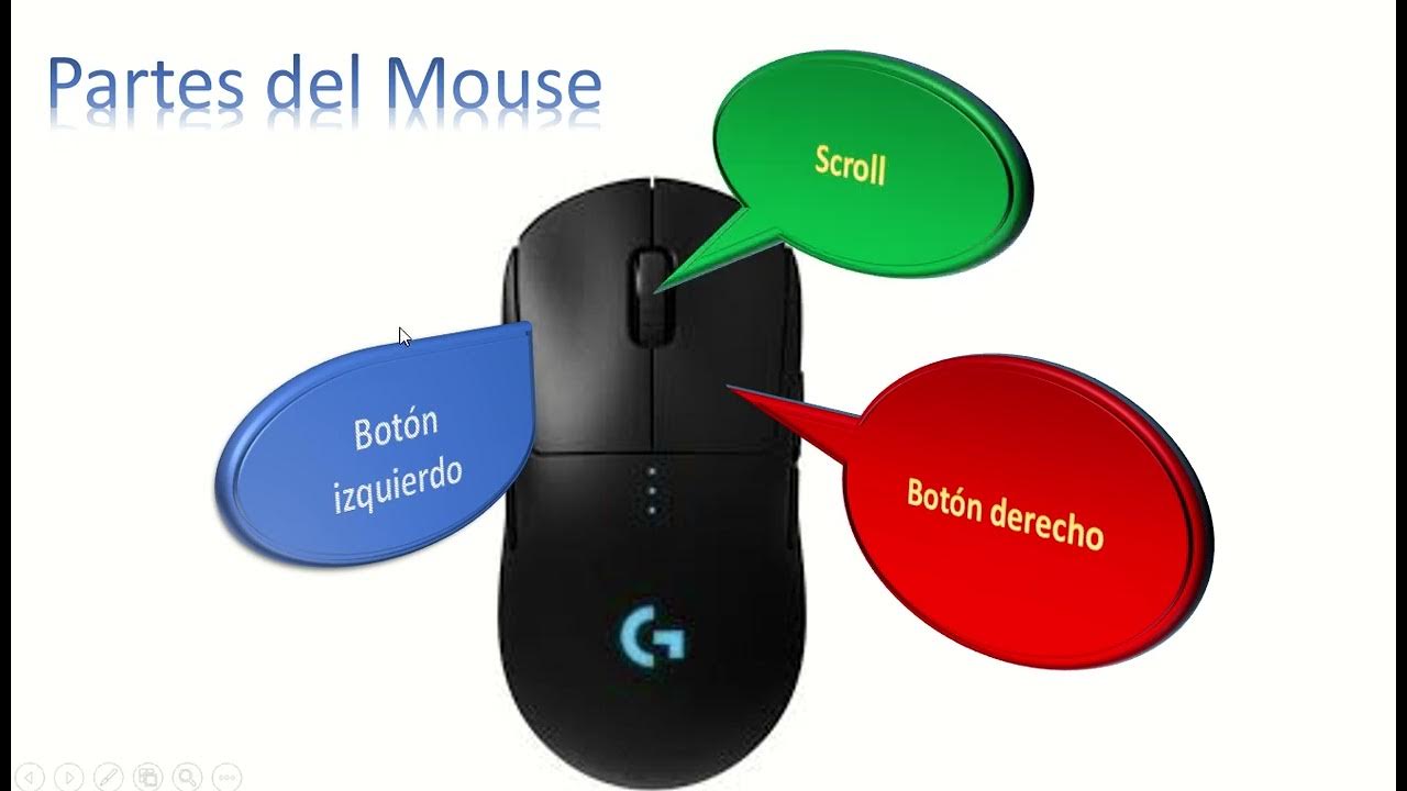 Explicacion Partes del Mouse - YouTube