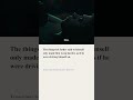 From Page to Screen
