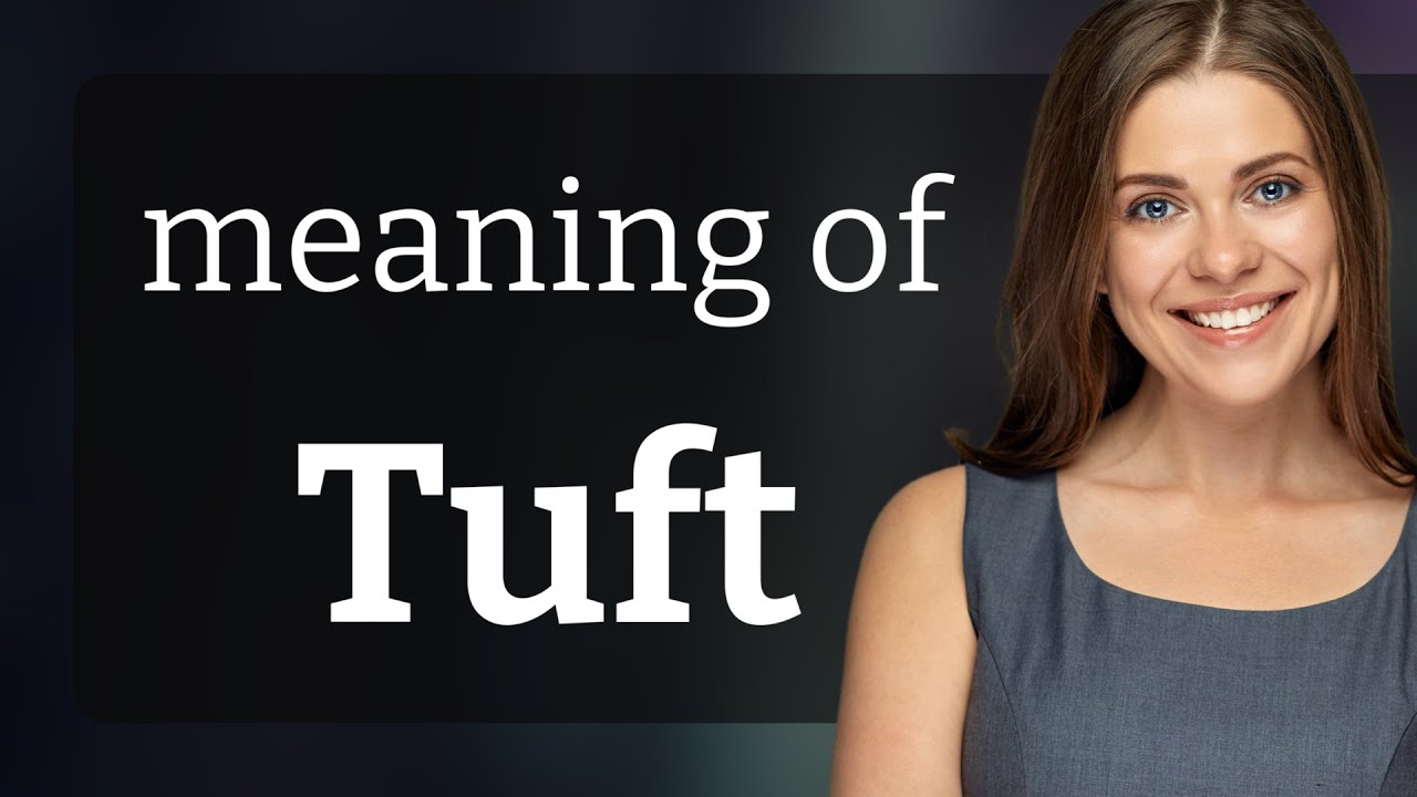 Tuft What Is TUFT Meaning YouTube Tuft What Is TUFT Meaning YouTube