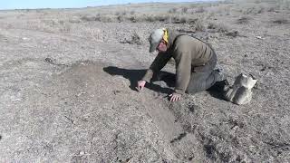 A Great Example of a Coyote Travel Way