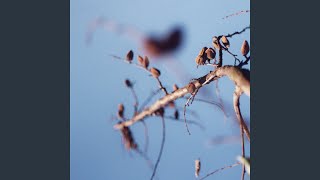 Download Lagu Agalam MP3