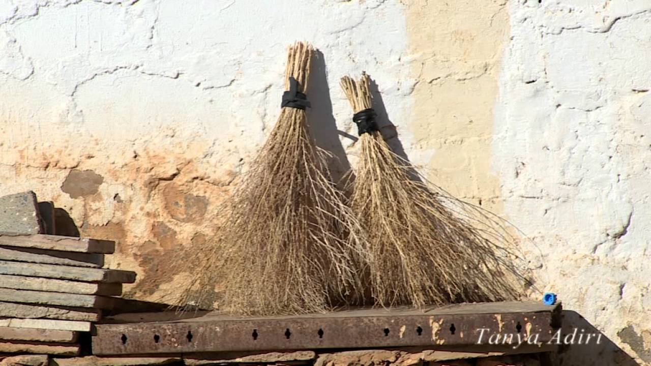 TANYA ADIRÎ [ KİRDKÎ ] AMED nawçeyé  Gêl Dewe selman (04.02.2015)