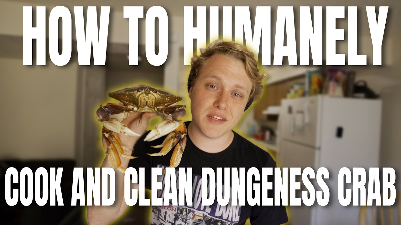 How to HUMANELY Cook and Clean Dungeness Crab (StepByStep) YouTube