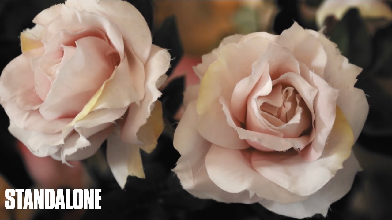 Artist Talk: Camilla Salvatore on Permanent Exile